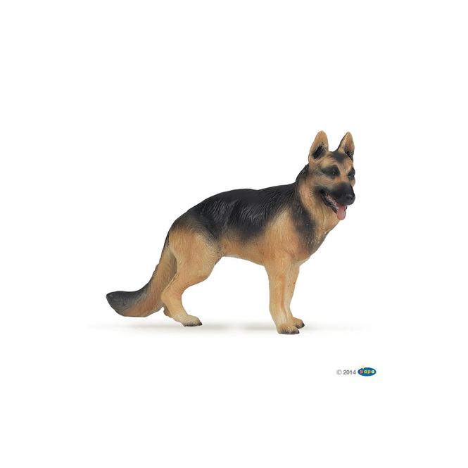Hovedbilde Schäferhund