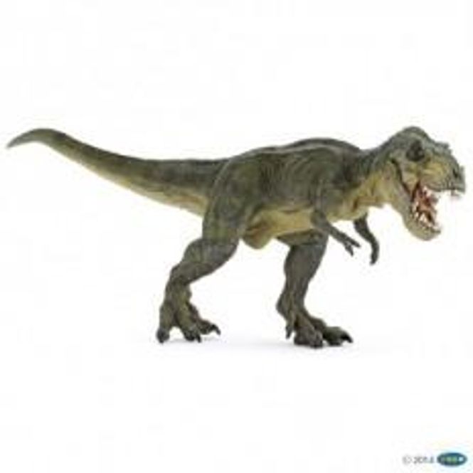 Hovedbilde T-Rex