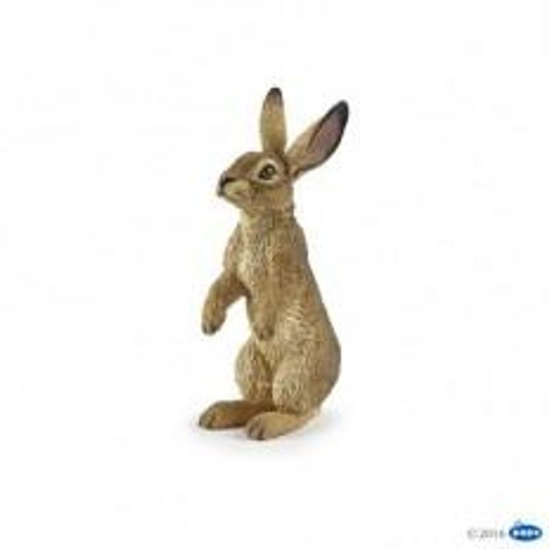 Hare